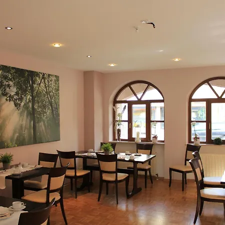 Hotel Weisses Ross Kleinostheim