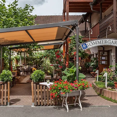 Hotel Weisses Ross Kleinostheim