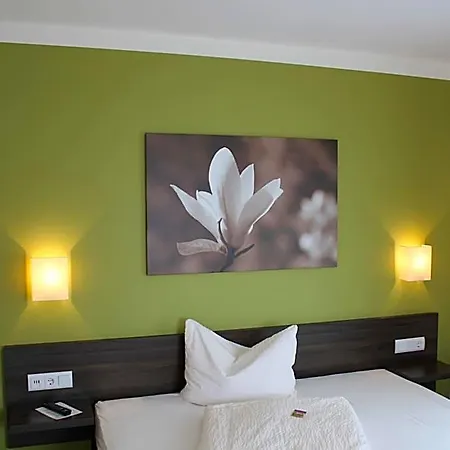 Hotel Weisses Ross Kleinostheim